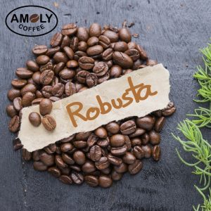 cà phê Robusta là gì