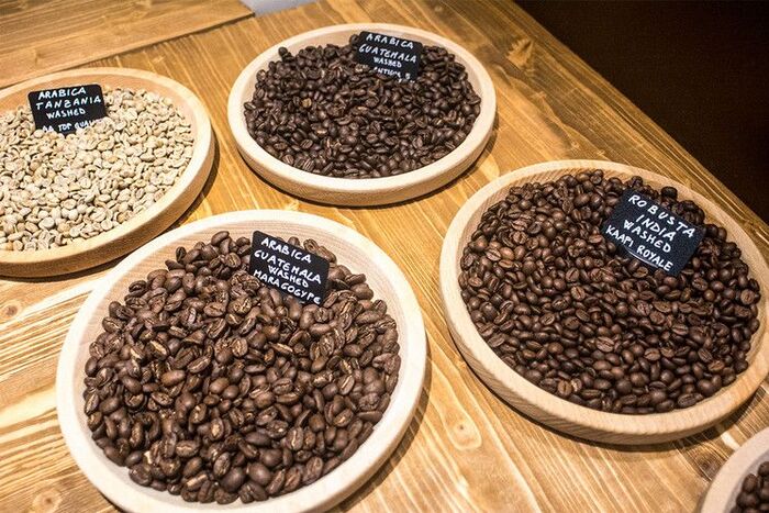 các giống typical phổ biến hiện nay