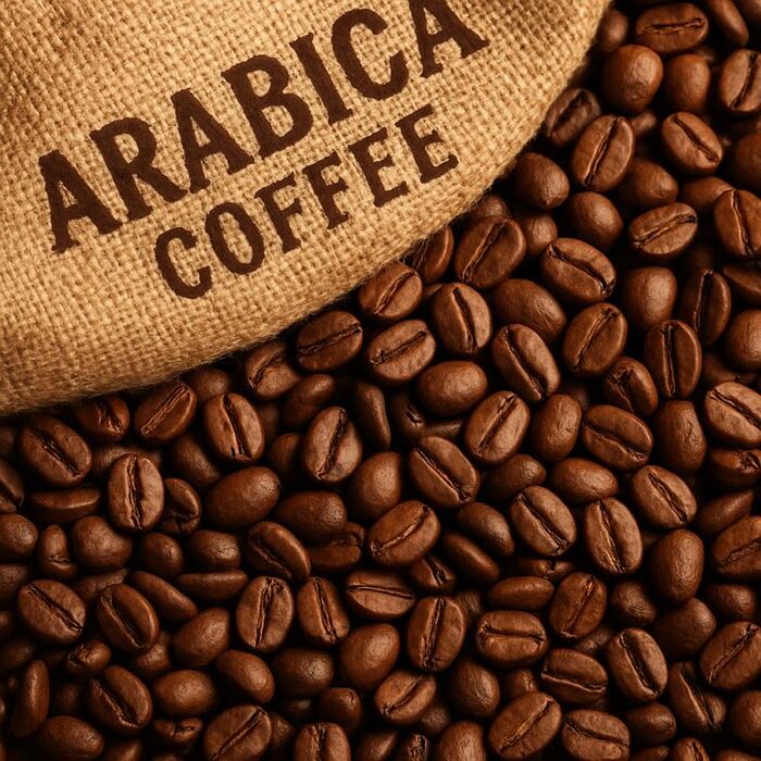 giống cà phê arabica nàng thơ của vùng cao nguyên