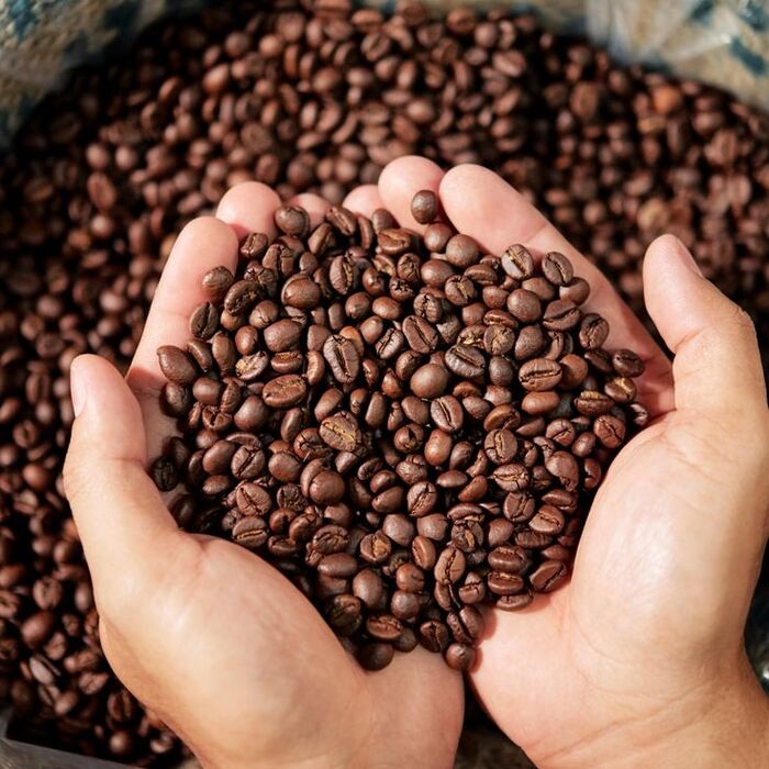 nguồn gốc cà phê moka đến từ đâu