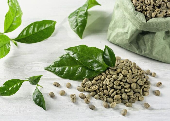 phân loại cà phê theo dòng giống cà phê