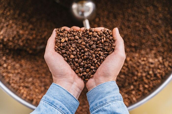 so sánh với các giống cà phê khác