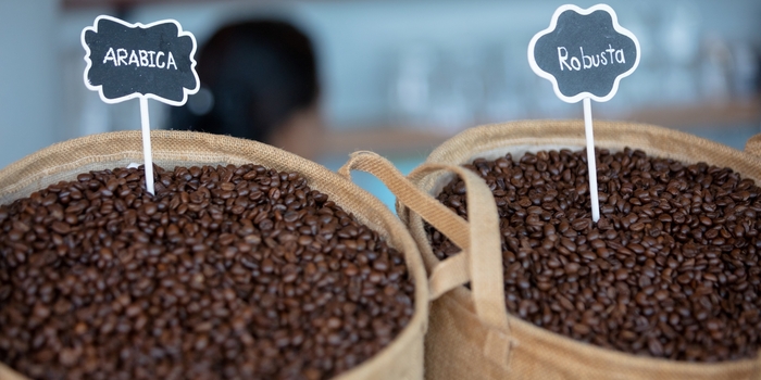 sự kết hợp giữa arabica và robusta
