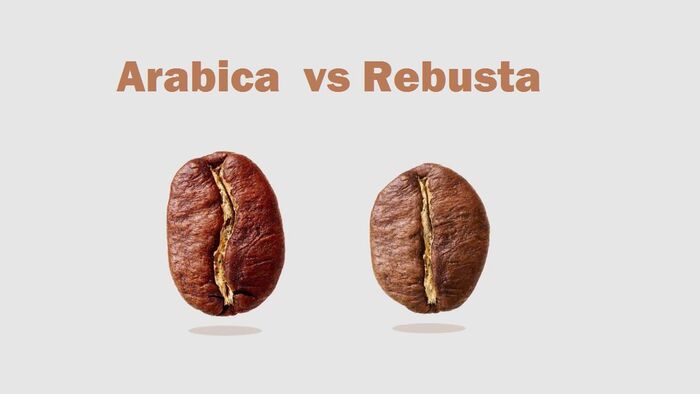về màu sắc sau khi rang cà phê robusta và arabica